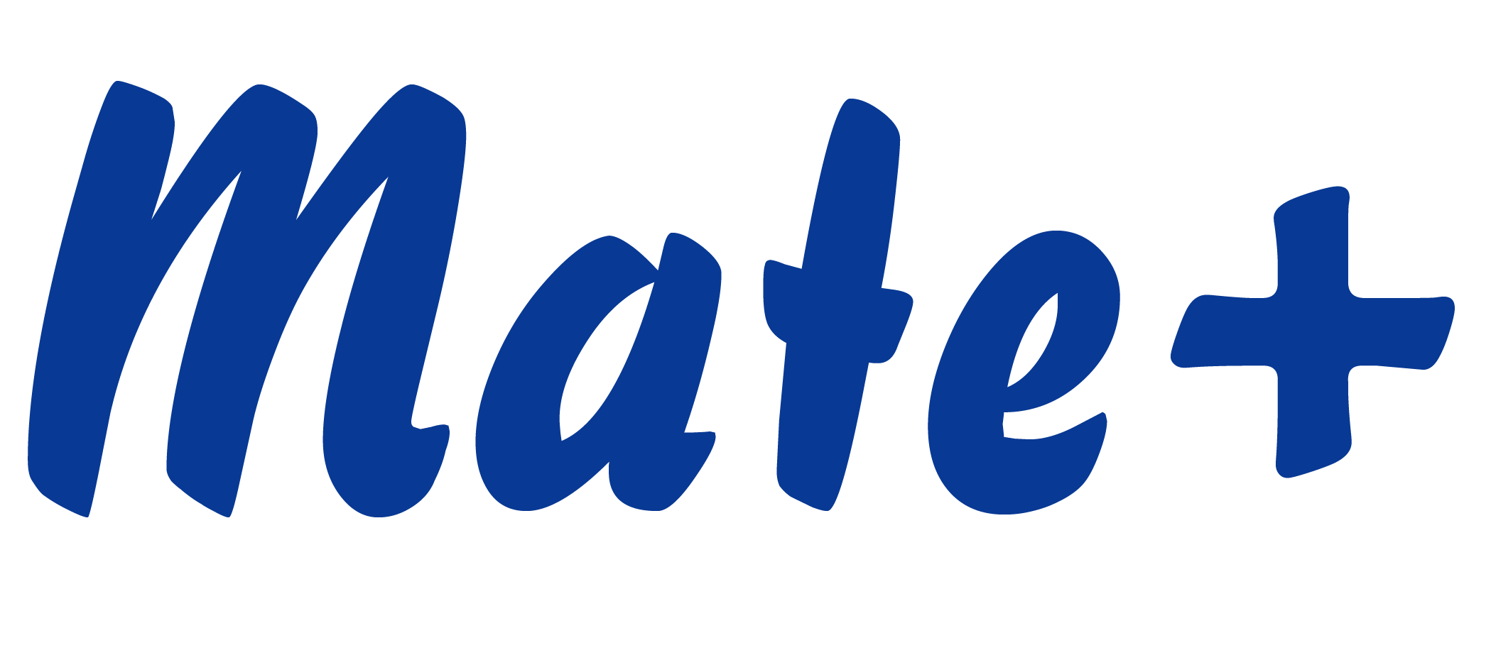 https://glm-p.com/mateplus/index.html